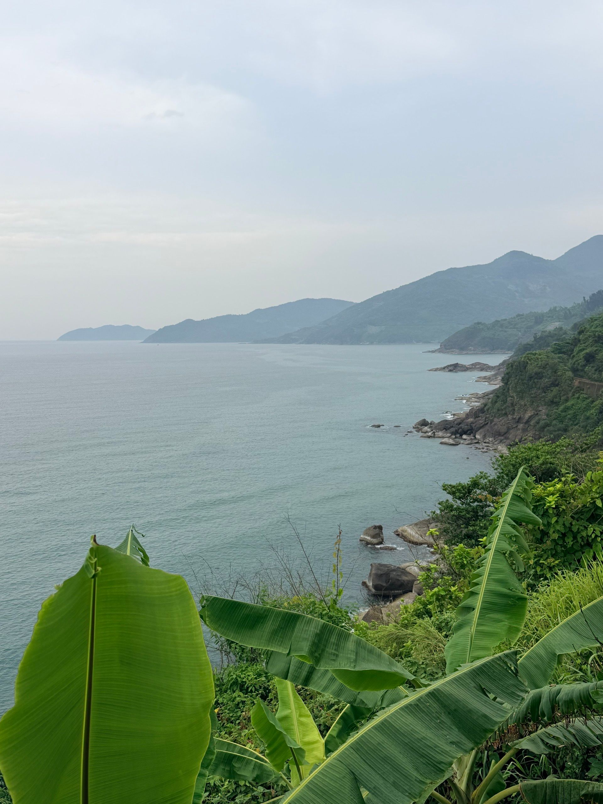 Ảnh đại diện của tác giả NhungVN